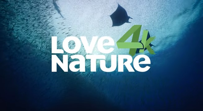 Kanał Love Nature 4K