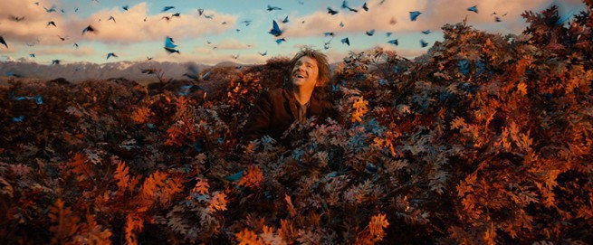 Evangeline Lilly - 'Hobbit. Pustkowie Smauga', fot. Forum Film Poland